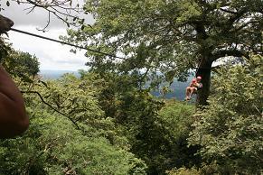 TARZAN,   NO, MEJOR LA MONA CHITA