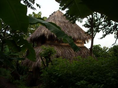 Isla de OMETEPE II