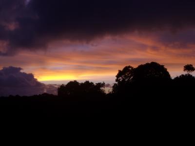 Isla OMETEPE XI